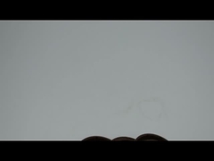 DCY DC AW3055 Yağ Dükkanı Halkası NBR Metal Kauçuk FKM Çift Yaylı Yağ Dükkanı Yüksek Basınç